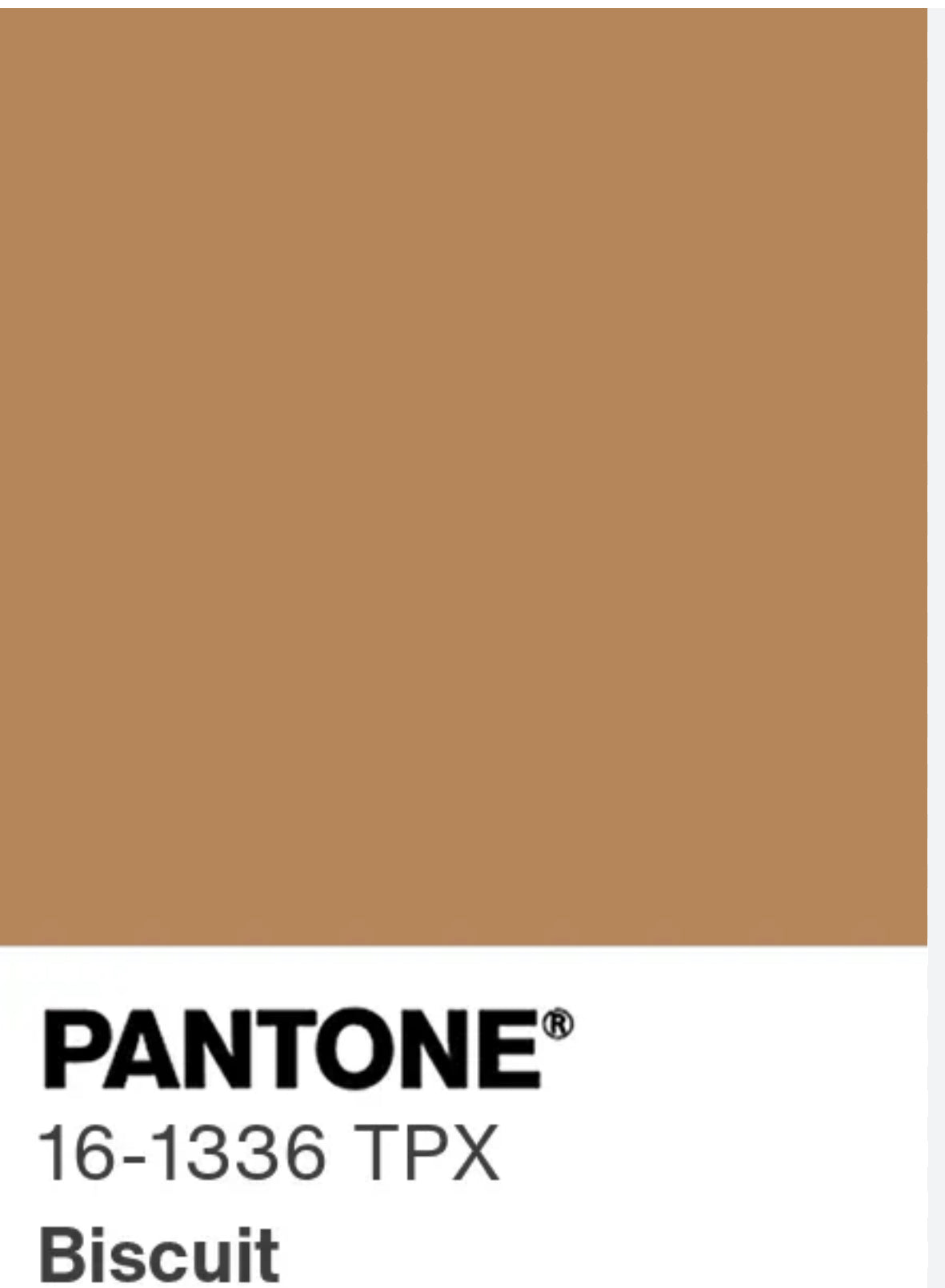 Gonna Franci Tweed Biscotto e Oro