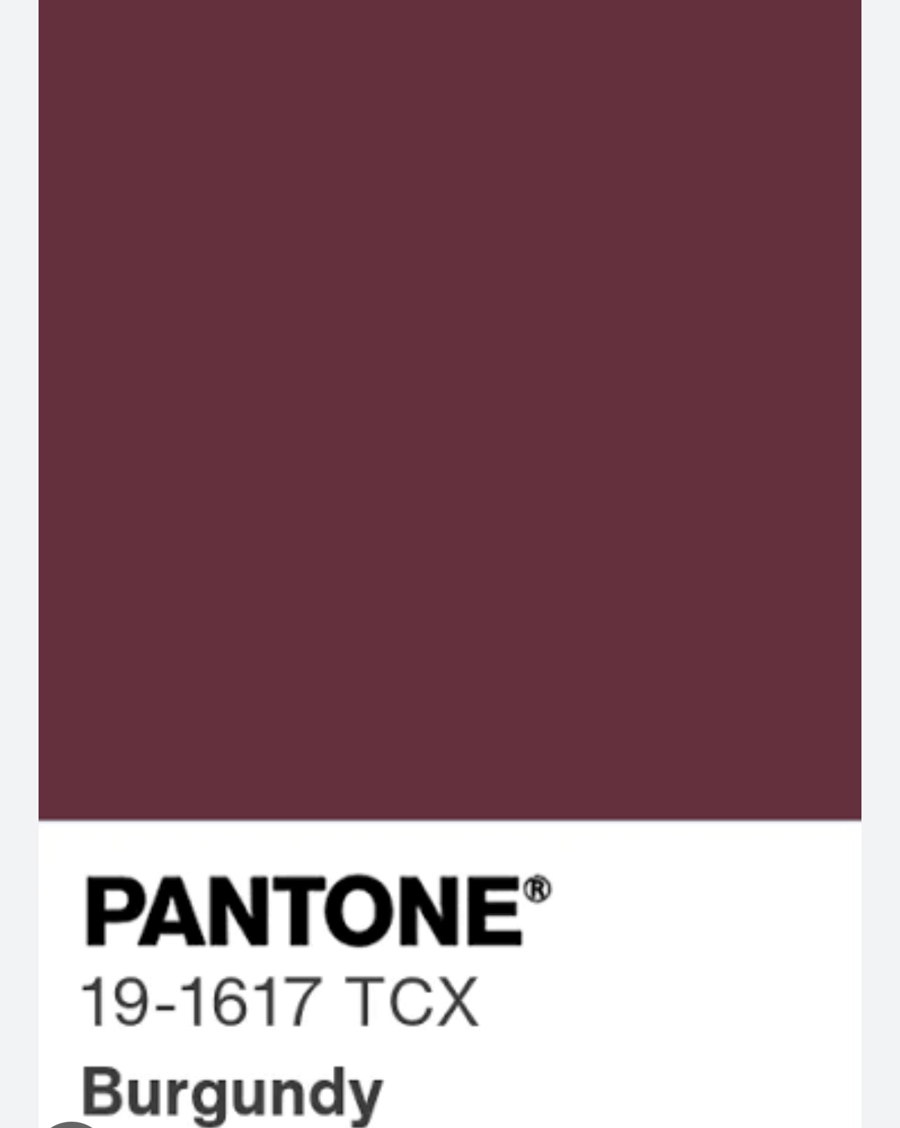 Gonna Valentina Tessuto Satin Cinghie Bordeaux