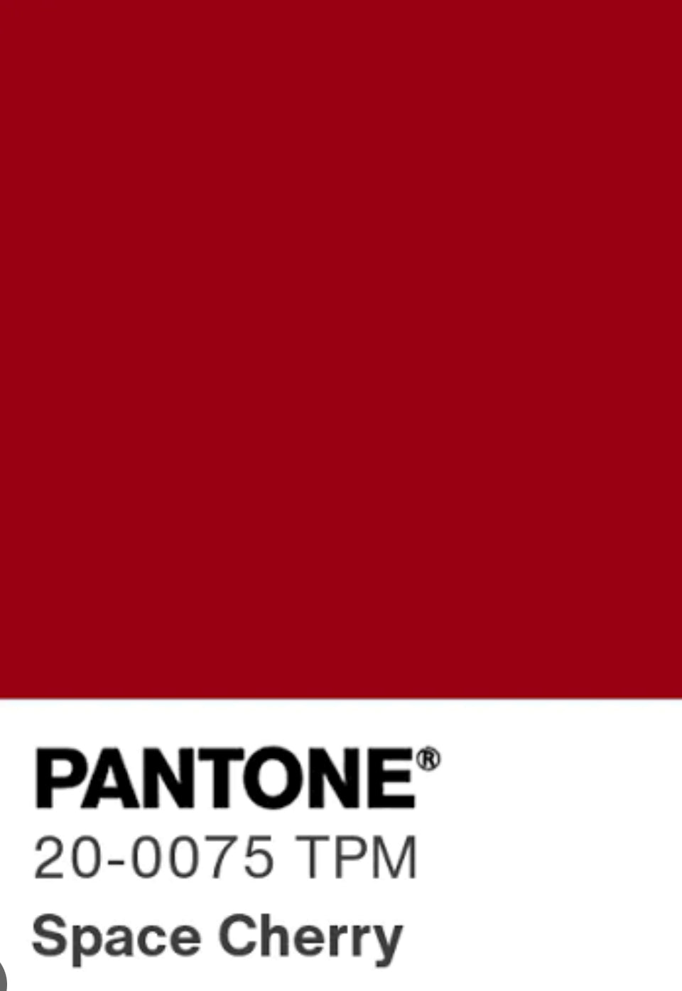 Gonna Robi Greche Fuxia e Rosso